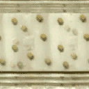 casinobulb2_128 texture from civic06_lan.txd (128x128 DXT1)