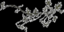 cedarbare texture from tree2.txd (128x64 ARGB32)