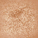 cj_burg_top texture from pick_up.txd (128x128 DXT1)