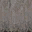 concblok_lod texture from laeast2_lod.txd (32x32 DXT1)