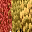 ct_fruit texture from ct_stabx.txd (32x32 DXT1)
