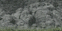 cunt_botrock texture from cs_coast.txd (256x128 DXT1)