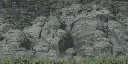 cunt_botrock texture from cs_lod.txd (128x64 DXT1)