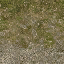 cw2_mountdirt2forest texture from cs_lod.txd (64x64 DXT1)