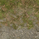 cw2_mountdirt2forest texture from cs_mountain.txd (256x256 DXT1)