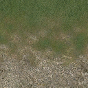 cw2_mountdirt2grass texture from cs_forest.txd (256x256 DXT1)