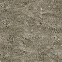 cw2_mounttrailblank texture from cuntwlandwest.txd (128x128 DXT1)
