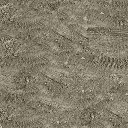 cw2_mounttrailblank texture from seabed.txd (128x128 XRGB32)