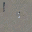 cw2_photoROOF_LOD texture from cs_lod_town.txd (32x32 DXT1)