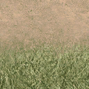 des_dirt1_grass texture from vgwestland.txd (128x128 DXT1)