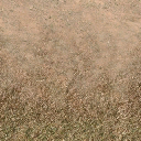 des_dirt2dedgrass texture from des_se3.txd (256x256 DXT1)