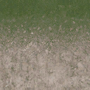 des_dirt2grass texture from ce_ground10.txd (128x128 DXT1)
