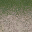des_dirt2grassLOD texture from ce_lod_03.txd (32x32 DXT1)