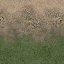 des_dirt2grgrass texture from cs_lod.txd (64x64 DXT1)
