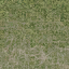 des_dirtgrassmix_grass4 texture from lod_mount_sfs.txd (64x64 DXT1)