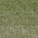 des_dirtgrassmix_grass4 texture from mountainsfs.txd (128x128 DXT1)