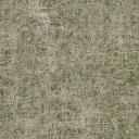 des_dirtgrassmixb texture from cuntwlandwest.txd (128x128 DXT1)