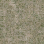 des_dirtgrassmixb texture from lodcunty.txd (64x64 DXT1)