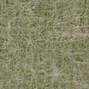 des_dirtgrassmixbmp texture from des_s.txd (128x128 DXT1)