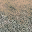 des_dirtgravel texture from lodvgwstcoast.txd (32x32 DXT1)