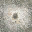 des_geyser texture from lod_countn2.txd (32x32 DXT1)