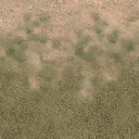 des_grass2dirt1 texture from des_sw.txd (256x256 DXT1)