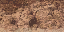 des_redrockbotLOD texture from lod_countryn.txd (64x32 DXT1)