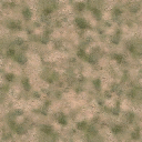 des_scrub1 texture from des_nw.txd (256x256 DXT1)