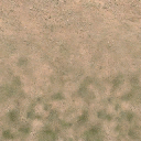 des_scrub1_dirt1 texture from vgssland02.txd (256x256 DXT1)