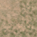 des_scrub1_dirt1a texture from vgsecoast.txd (256x256 DXT1)