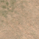 des_scrub1_dirt1b texture from vgsecoast.txd (256x256 DXT1)