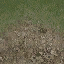 desertgravelgrass256 texture from cs_lod.txd (64x64 DXT1)