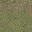 desertgryard256grs2LOD texture from ce_lod_07.txd (32x32 DXT1)