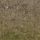 desertstones256forestmix texture from cuntwlandwest.txd (128x128 DXT1)