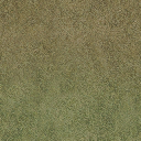 desgrassbrn_grn texture from des_nw2.txd (256x256 DXT1)