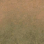 desgrassbrnsnd texture from lodvgsslod.txd (64x64 DXT1)