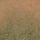 desgrassbrnsnd texture from vgsshospshop.txd (256x256 DXT1)
