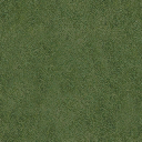 desgreengrass texture from cs_mountain.txd (256x256 DXT1)
