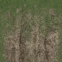 desgreengrasstrckend texture from ce_ground10.txd (512x512 DXT1)