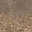 desmud2forstfloor texture from cs_lod.txd (64x64 DXT1)