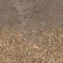 desmud2forstfloor texture from cs_mountain.txd (256x256 DXT1)