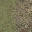 dirtblendlitLOD texture from ce_lod_02.txd (32x32 DXT1)