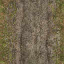 dirttracksforest texture from ce_ground01.txd (512x512 DXT1)