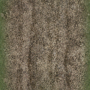dirttracksgrass256 texture from ce_ground02.txd (512x512 DXT1)