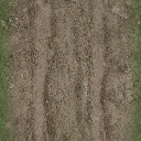 dirttracksgrass256 texture from cuntwlandse.txd (256x256 DXT1)