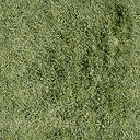 dt_bmx_grass texture from dockroad_sfse.txd (128x128 DXT1)