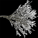 elmdead texture from tree2.txd (128x128 ARGB32)