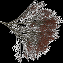 elmtreered texture from tree1.txd (128x128 ARGB32)