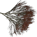 elmtreered texture from tree1prc.txd (128x128 DXT3)