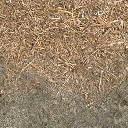 ffbranch_mountdirt texture from cs_mountain.txd (256x256 DXT1)
